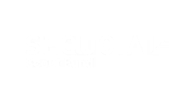 Investor