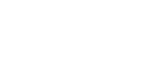 Investor